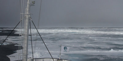 In the pack ice north of Svalbard
