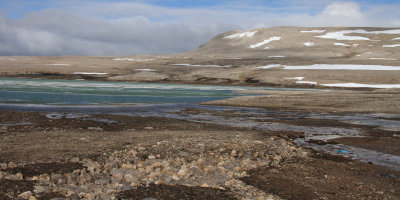 Stone circles caused by ice freezing and thawing, Svalbard