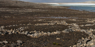 Stone circles caused by ice freezing and thawing, Svalbard