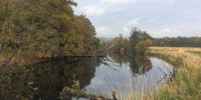 The Endrick Water at RSPB Loch Lomond near Wards Pond