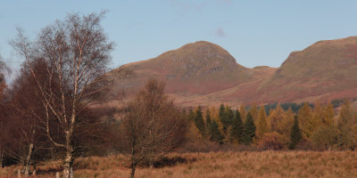 Dumgoyne, Campsie Hills