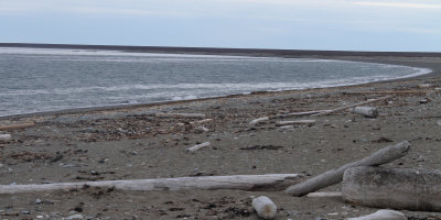 The Walrus beach at Poolepynten, Savlbard