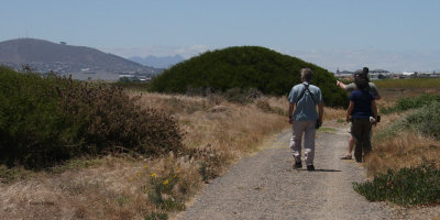 Birding at Rietvlei Nature Reserve