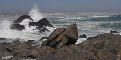 West Coast National Park