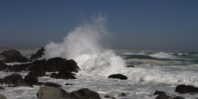 West Coast National Park