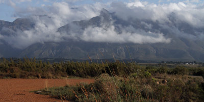 Morning mist over the mountains from Bontebok NP