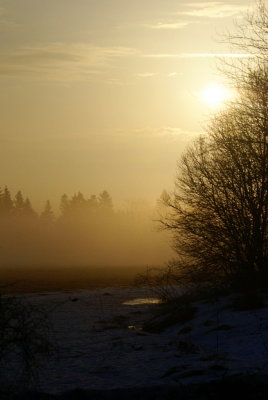 April, Sweden