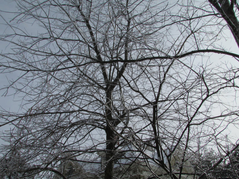 froze2-15IMG_1029.jpg