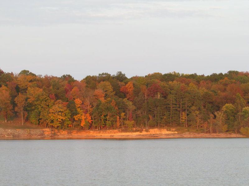 lake-tom10-15IMG_1690.jpg