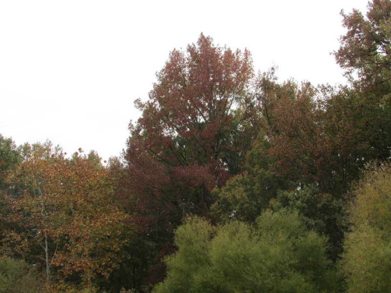 lake-tom10-15IMG_1708.jpg