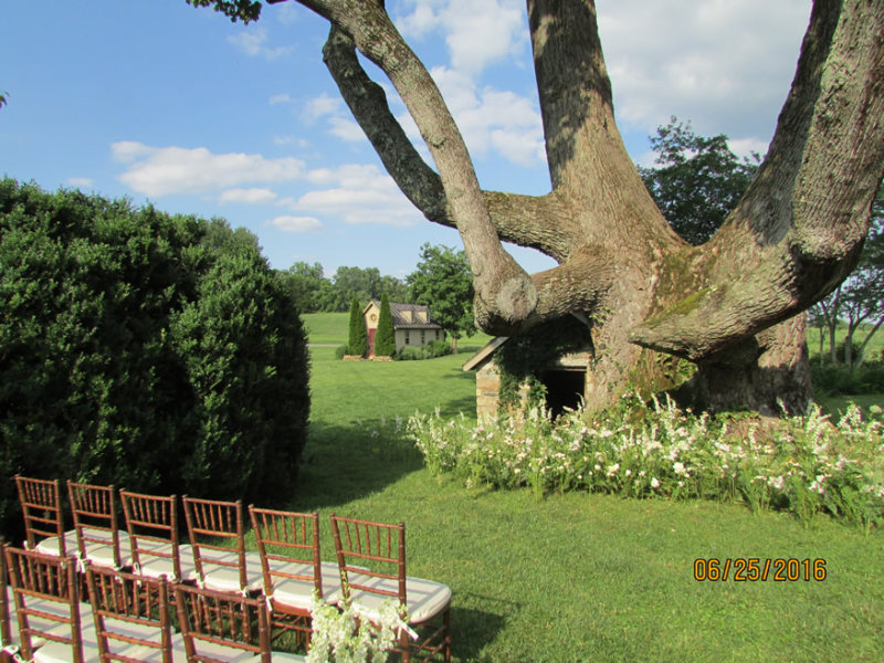 han-wed6-16IMG_2178.jpg