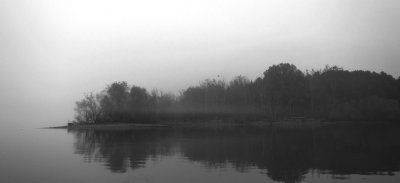 Foggy Lake Greyscale.jpg
