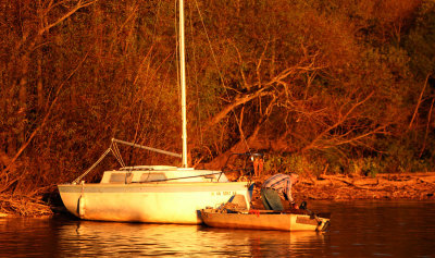 Boats In Cove2.jpg