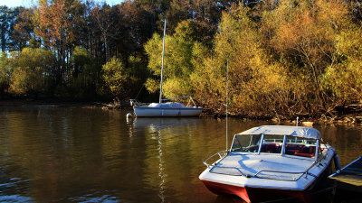 Boats In Cove3.jpg