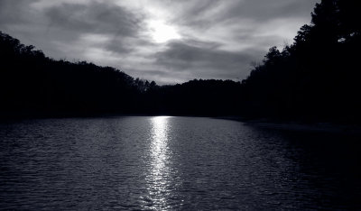 Buffalo WMA Duotone.jpg