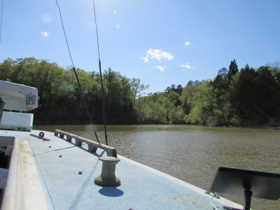 April at the lake 2014