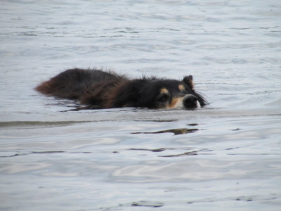 lake5-14IMG_0471.jpg