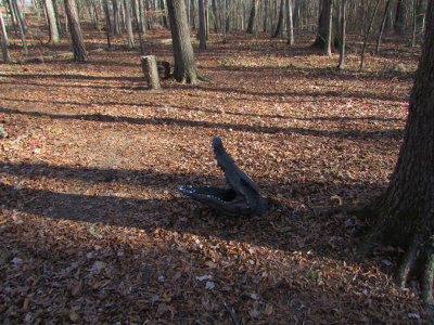 lake2-15IMG_0983.jpg