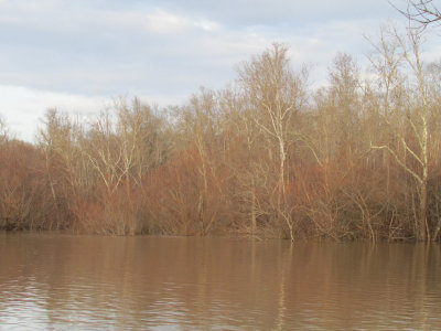 hogancrk12-15IMG_1837.jpg