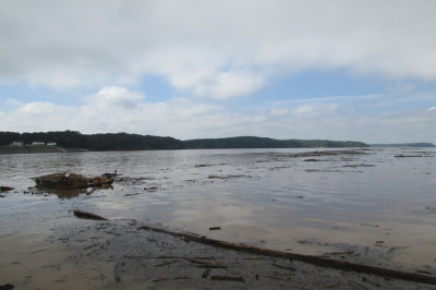 lake9-16IMG_2378.jpg