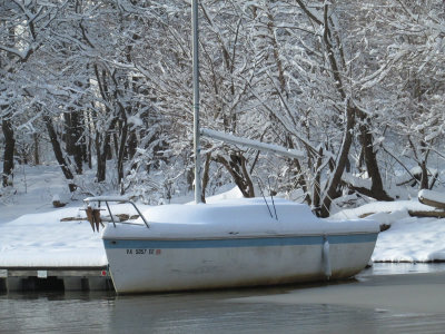snow1-17IMG_2541.jpg
