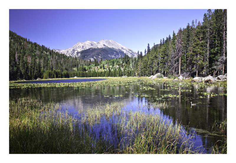 Cub Lake , Estes Park