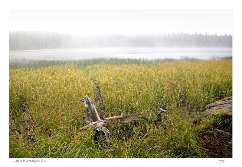 Foggy morning,  Lake Bierstadt