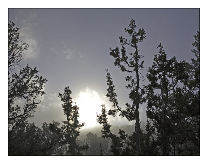 Sillouette.
