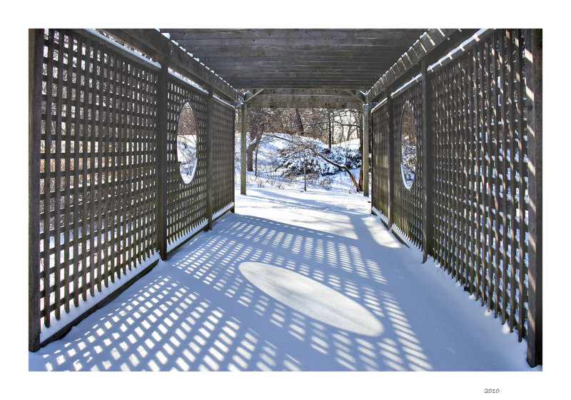 Lattice shadows