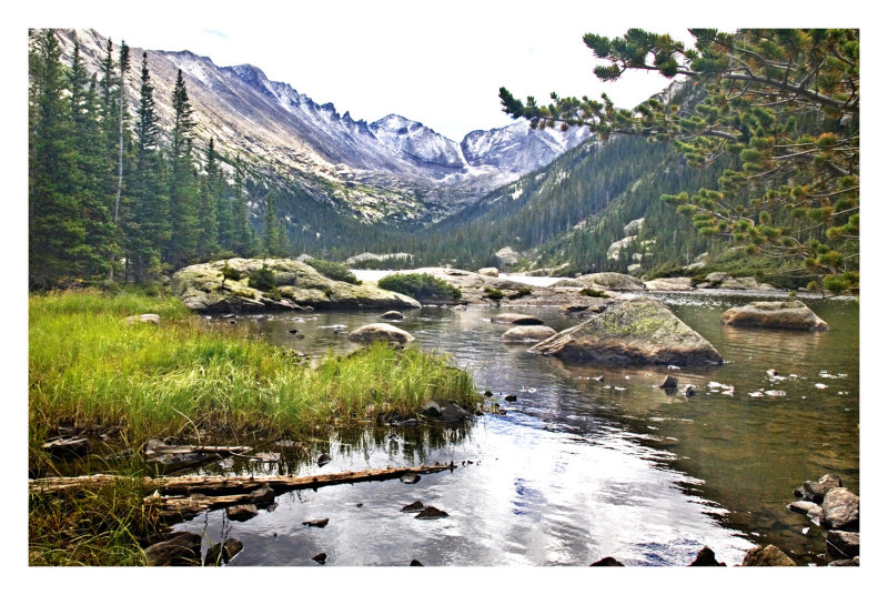 Marsh land