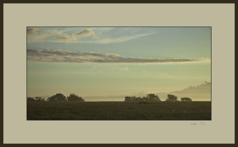 Morning light