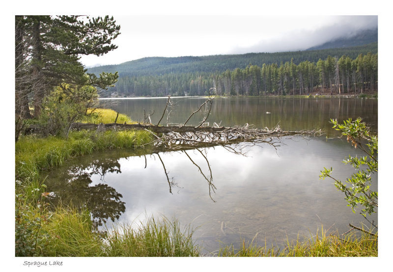 Sprague Lake