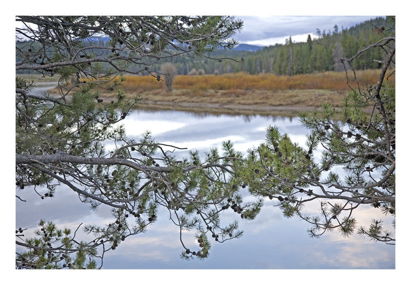 Evergreen,  Oxbow Bend