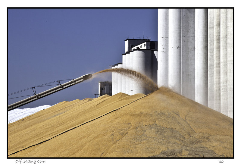 Offloading corn harvest