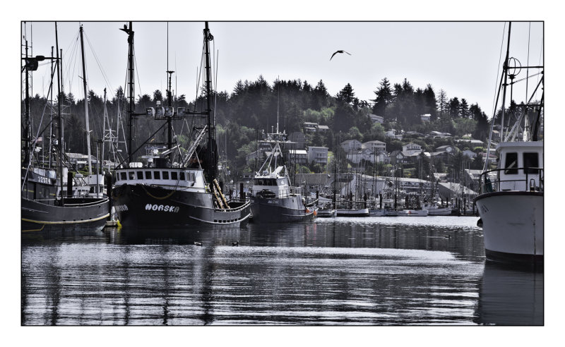 Harbor View,  Newport OR