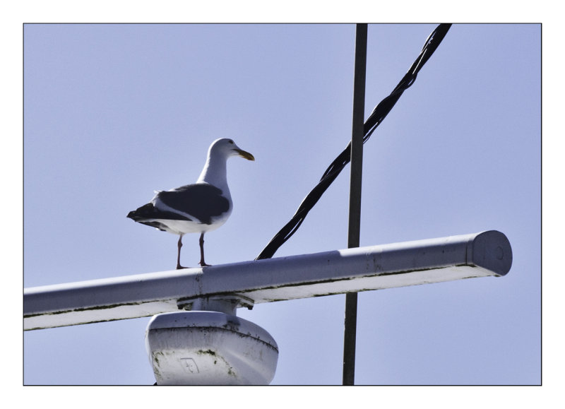 Lookout