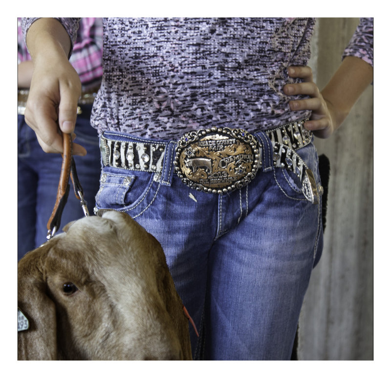 Belt buckle Pride