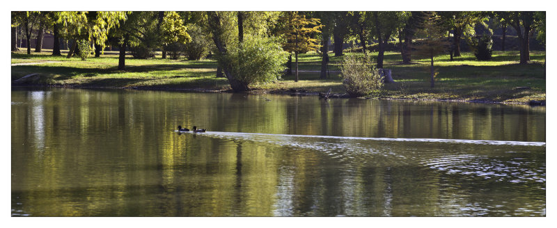 Paddling pair