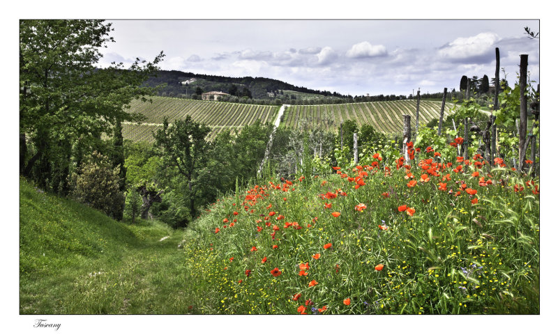 Tuscany