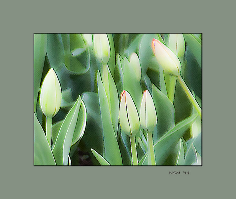 Rites of Spring