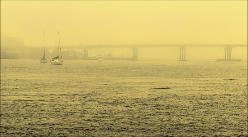 Yellow Dawn