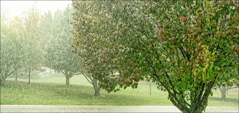 Hard Rain