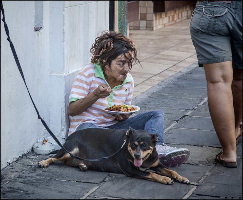 Daily Provided Meal