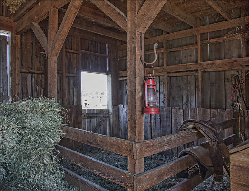 Horse Stall