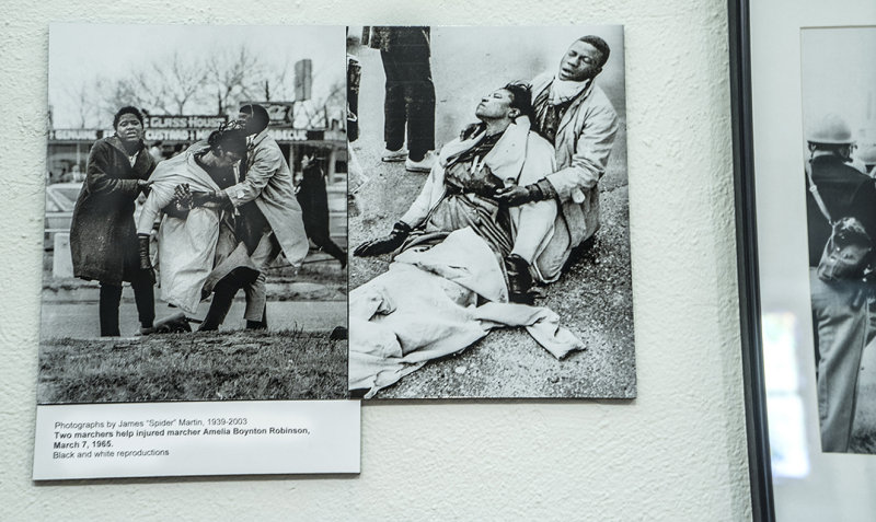 Selma Experience