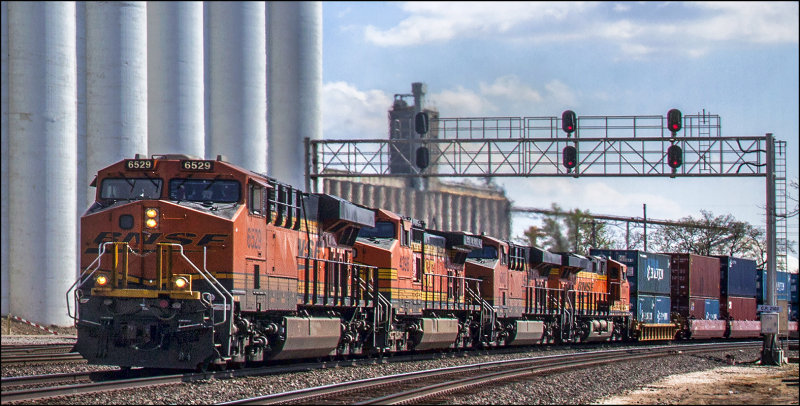 Burlington Northern Santa Fe Train