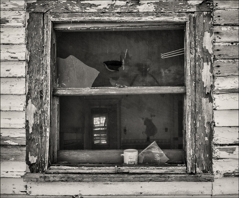 Kitchen  Window