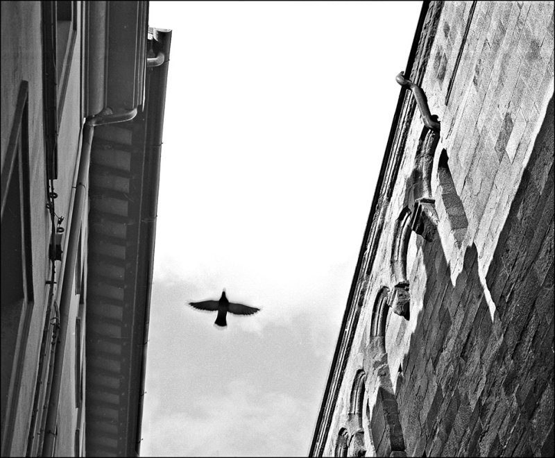 Freedom