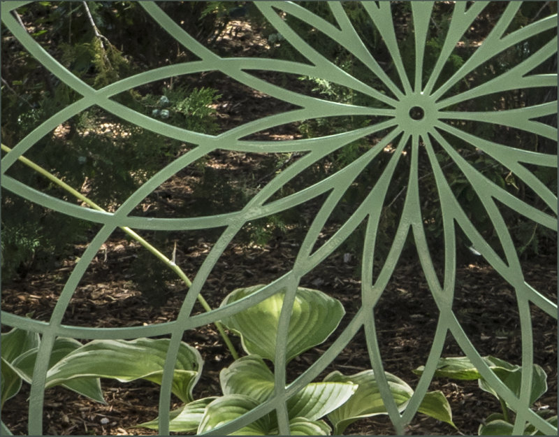 Iron Petals