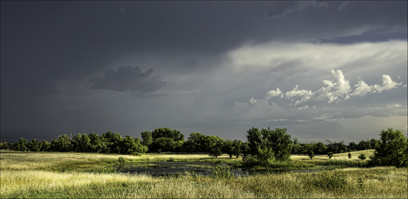 Pond, Sedgwick County